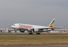 Ethiopian Airlines Leads Africa in Passenger and Freight Traffic