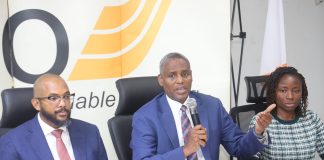 Aero Cuts Domestic Airfares to N80,000 for Festive Season