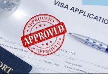 Visa Applications to Go Fully Online by March 1 – FG