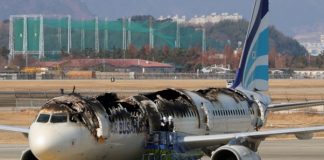 Beyond the Seatbelt: The Passenger’s Role in Modern Aviation Safety