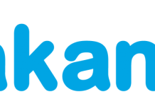 Wakanow First in Nigeria to Offer Direct NDC Access with Top Airlines