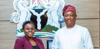 Nigeria, Tanzania Move to Launch Direct Flights, Deepen Bilateral Ties