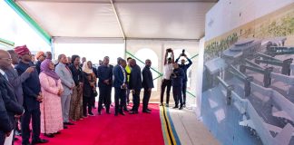 Tanzania Honours Adesina, Showcases AfDB-Funded Airport