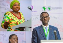 AfDB, AU Renew Call for Visa-Free Travel Across Africa